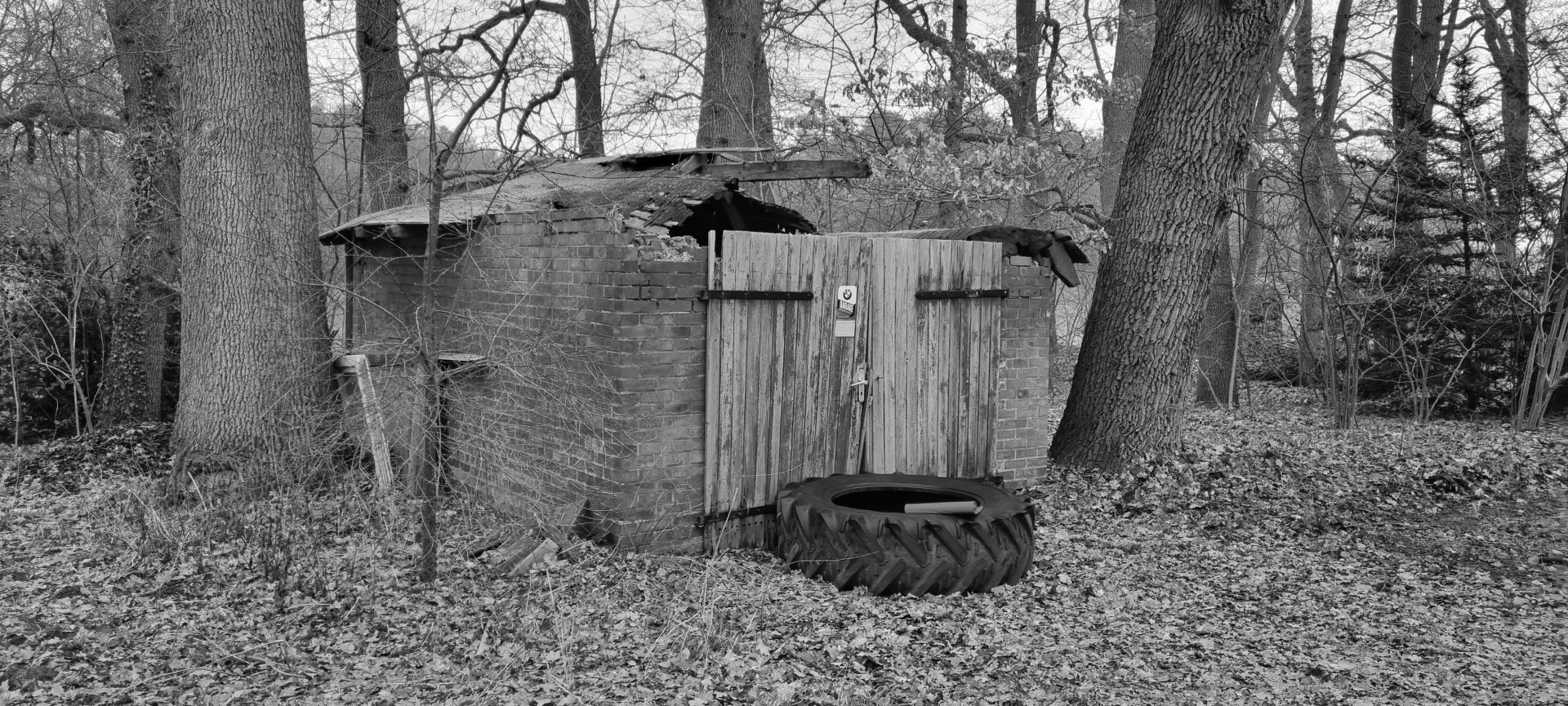 Kradwerk 2023 Black&White